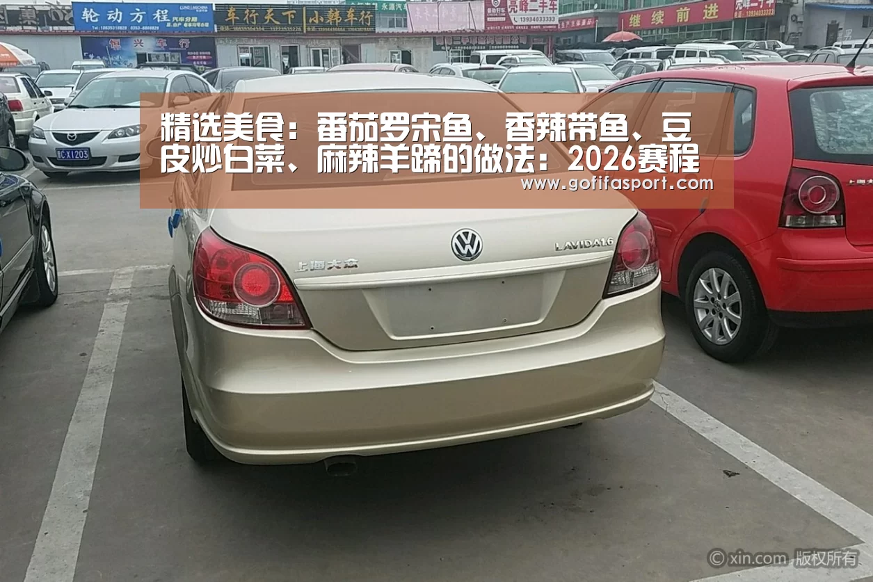 精选美食：番茄罗宋鱼、香辣带鱼、豆皮炒白菜、麻辣羊蹄的做法：2026赛程